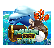 Dolphin Reef