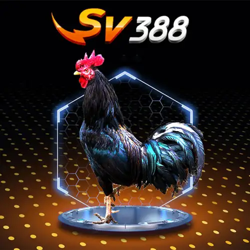 SV388 Cock Fighting